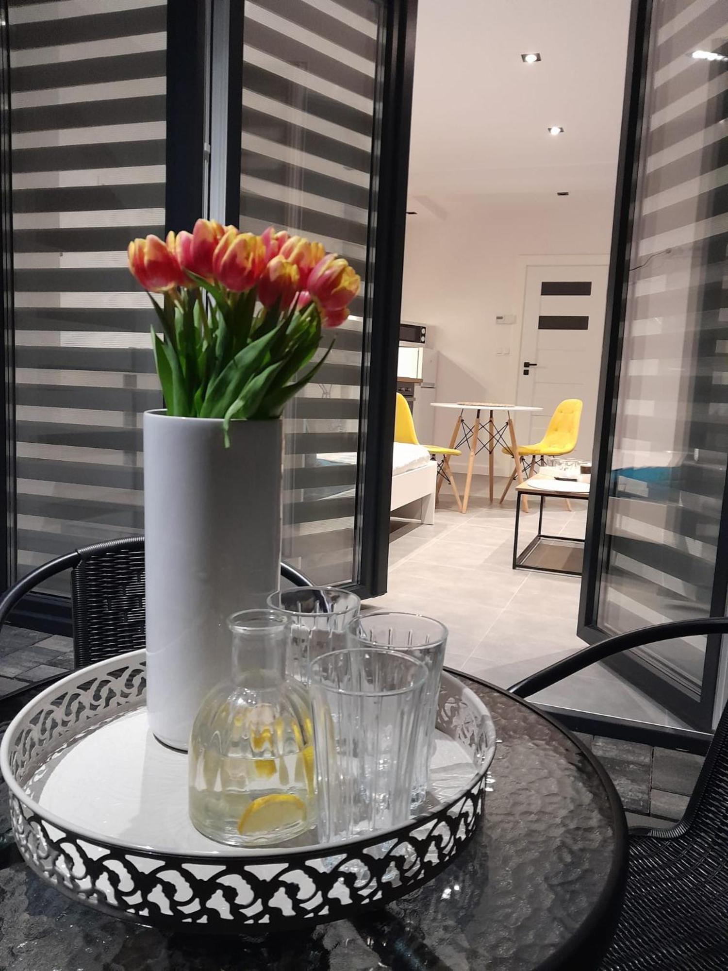 Viva Apartments Освенцим Экстерьер фото