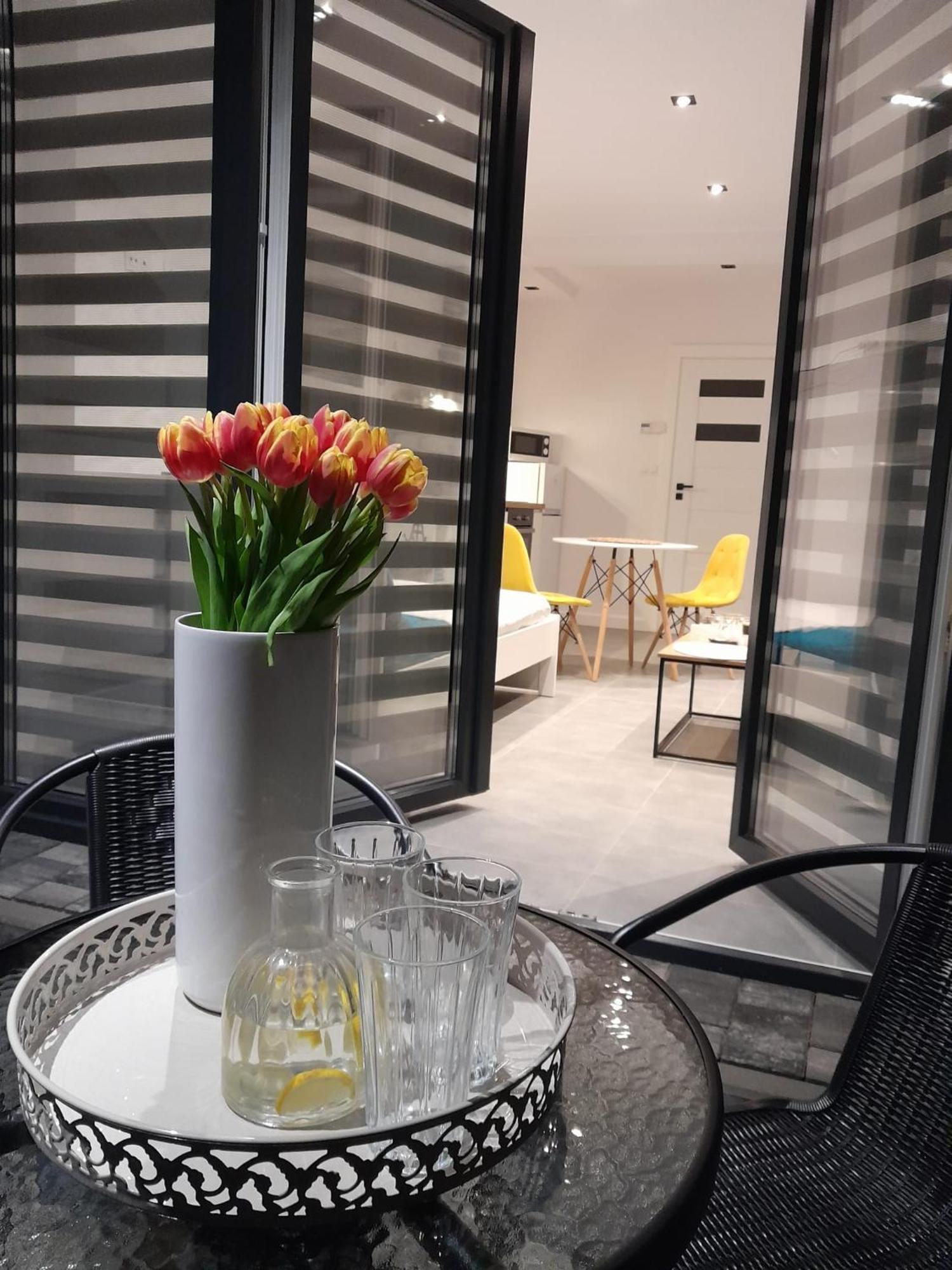 Viva Apartments Освенцим Экстерьер фото